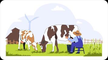 une homme est alimentation vaches dans une champ video