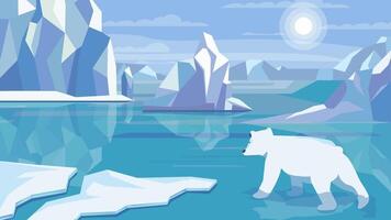 polar bear in the arctic landscape, video