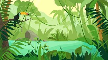 toucan dans le jungle video