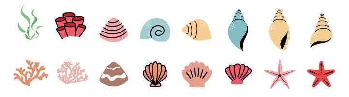 cute clam and sea shell beach animal starfish and coral reef vector