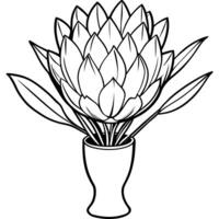 Protea flower outline illustration coloring book page design, Protea flower black and white line art drawing coloring book pages for children and adults vector