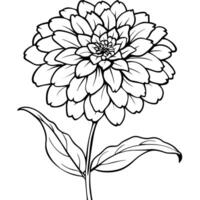 Zinnia Flower outline illustration coloring book page design, Zinnia Flower black and white line art drawing coloring book pages for children and adults vector