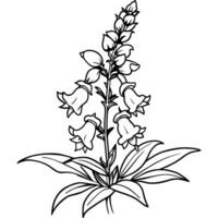 Snapdragon flower outline illustration coloring book page design, Snapdragon flower black and white line art drawing coloring book pages for children and adults vector