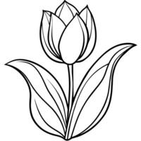 Tulip Flower outline illustration coloring book page design, Tulip Flower black and white line art drawing coloring book pages for children and adults vector