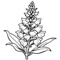 Snapdragon flower outline illustration coloring book page design, Snapdragon flower black and white line art drawing coloring book pages for children and adults vector