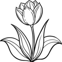 Tulip Flower outline illustration coloring book page design, Tulip Flower black and white line art drawing coloring book pages for children and adults vector