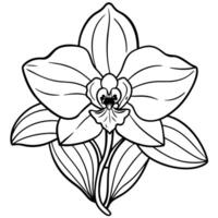 Orchid flower outline illustration coloring book page design, Orchid flower Bouquet black and white line art drawing coloring book pages for children and adults vector