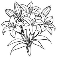 Lily Flower outline illustration coloring book page design, Lily Flower black and white line art drawing coloring book pages for children and adults vector