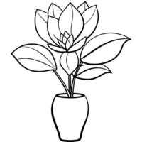 Magnolia Flower outline illustration coloring book page design, Magnolia Flower black and white line art drawing coloring book pages for children and adults vector