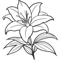 Lily Flower outline illustration coloring book page design, Lily Flower black and white line art drawing coloring book pages for children and adults vector