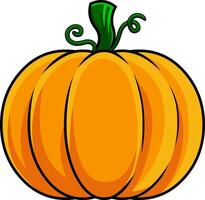 Cartoon Colorful Pumpkin. vector