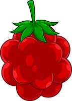 Cartoon Raspberry Fruit vector