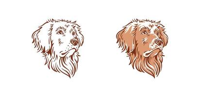 Dog head with a beautiful cute face illustration of a golden retriever pet animal drawing vector