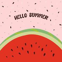 Summer pink background with a slice of watermelon and seeds, postcard, background for social networks, web vector