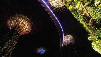 Singapore - april 15e, 2024 - zoom in timelapse visie super-boom park Bij jachthaven baai zand. tuinen door de baai beroemd mijlpaal supertrees bosje. zonne- cel technologie video