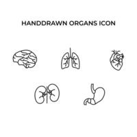 colección de dibujado a mano órganos icono, sencillo garabatear icono vector
