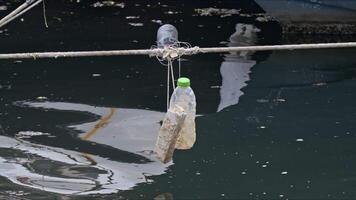 el plastico botella marina basura arrojado dentro mar agua por personas en el Puerto imágenes. video