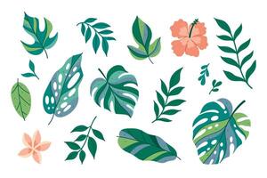 Set of tropical leaves and flowers isolate on a white background. graphics. vector