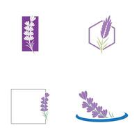 set Lavender Logo Template vector