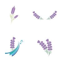 set Lavender Logo Template vector