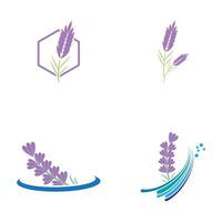 set Lavender Logo Template vector