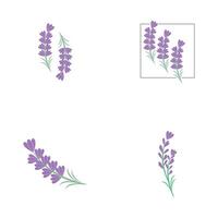 set Lavender Logo Template vector