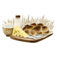 Watercolor rural farm rustic Jewish Shavuot, bowl with cottage cheese, wheat field harvest, dairy products, challah vector