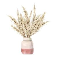 Watercolor rural wheat ears bouquet in pink vase illustration, harvest composition in beige colors for Shavuot holiday vector