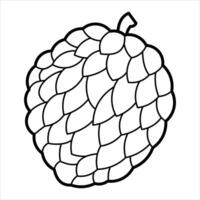 Cartoon Exotic Tropical Fruit Line Art vector