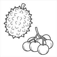 Cartoon Exotic Tropical Fruit Line Art vector