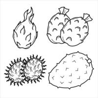 dibujos animados exótico tropical Fruta línea Arte vector