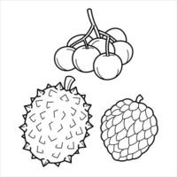 Cartoon Exotic Tropical Fruit Line Art vector