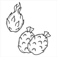 Cartoon Exotic Tropical Fruit Line Art vector