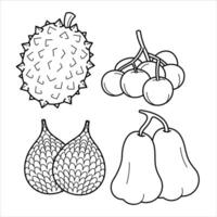 Cartoon Exotic Tropical Fruit Line Art vector