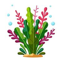 Colorful sea plants vector