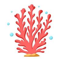 Coral ocean plants vector