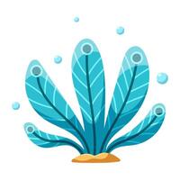 Blue ocean plant in the form of feathers vector