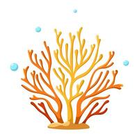 Orange coral algae vector