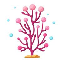Pink seaweed with round beads vector