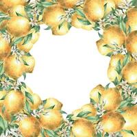 marco de amarillo jugoso limones con verde hojas y sucursales. aislado acuarela ilustración en realista estilo. hecho a mano composición para decoración de tarjetas, Boda diseño, invitaciones, textiles. vector