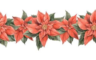 Poinsettia, Christmas red flower with green leaves. Seamless watercolor botanical border in vintage style on isolated background. Drawing for invitations, banners, cards, wrapping paper, decor vector