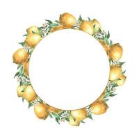 Wreath of yellow lemon fruits with green leaves and branches. Isolated watercolor illustration in realistic style. Handmade composition for design of cards, wedding design, invitations, textiles. vector