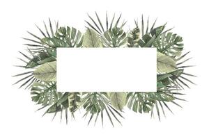 rectangular marco de tropical hojas, ventilador palmera, monstruo, strelitzia. mano dibujado acuarela marco en aislado antecedentes. botánico ilustración para diseño de invitaciones, tarjetas, bodas y Días festivos vector