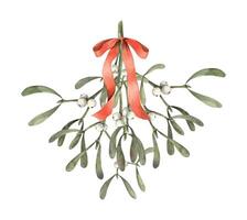 Bouquet of mistletoe with white berries and a red bow. Christmas watercolor illustration on isolated background. Illustration for cards, banners, wrapping paper, decor, design for the new year 2025. vector