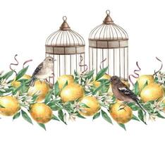 Seamless border of yellow lemons, leaves, ribbons, flowers, birds and metal copper cage. Watercolor illustration in vintage style. Composition for decorating cards, wedding decorations, invitations. vector