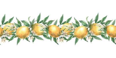 Seamless border of yellow lemons, green leaves and flowers. Isolated botanical watercolor illustration in realistic style. Handmade composition for decorating cards, wedding decorations, invitations. vector