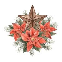 Poinsettia, fir branch, five-pointed copper star.Watercolor illustration in vintage style. Drawing for Christmas and New Year's holidays, invitations, cards, banners, wrapping paper, wallpaper, decor vector