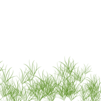 verde erba trasparente spazzola colpi elemento png