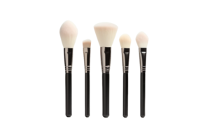 Vide maquillage brosse ensemble maquette sur transparent Contexte. png