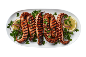 Grilled Octopus Tentacles from Above on transparent background. png